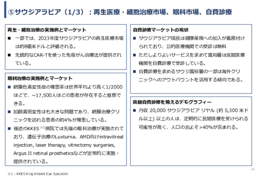 令和６年度「網膜再生医療の国内外の普及に向けた医療プラットフォーム構築事業」事業報告書
